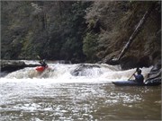 Spring Creek 20